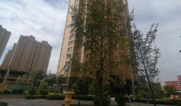 临汾金域王府爆料案件最新,揭开神秘面纱，探寻真相背后”