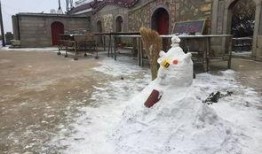 哈尔滨下雪爆料视频最新,冬日浪漫瞬间走红网络