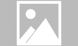 德州市最新爆料案件名单,多起案件引发社会关注