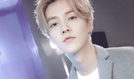 鹿晗最新爆料视频,最新爆料视频背后的故事与感悟