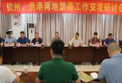 贵港最新爆料消息视频播放