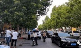 莱州沙河爆料事件最新,真相揭开，环保争议再引关注