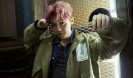 鹿晗最新爆料视频,最新爆料视频背后的故事与感悟