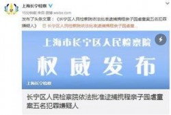 固安翟氏爆料案件最新情况,案情揭秘与调查动态