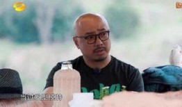 徐峥最新爆料,揭秘影视圈幕后故事