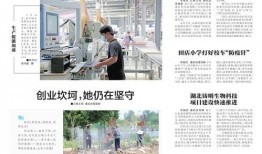 应城新闻爆料最新消息,最新爆料揭示重大事件进展