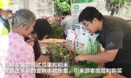 澧县吃瓜最新事件爆料视频,最新爆料视频揭秘惊人内幕