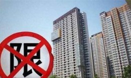 第一楼市爆料最新消息,最新楼市动态揭秘