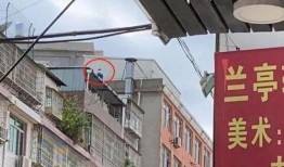 莆田8号楼爆料视频最新,揭秘神秘事件背后的真相！”