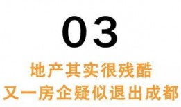 海亮爆料最新消息,揭秘娱乐圈惊人内幕