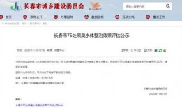 长春爆料官方公告最新消息,聚焦热点事件解读与进展