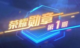 最新勋章服装爆料视频,炫酷设计，彰显荣誉与风采