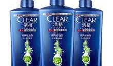 清扬最新爆料,揭秘明星幕后故事与真实情感